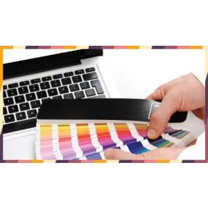 Become a Professional Graphic Designer 2020-9