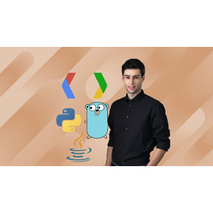 Complete Guide to Protocol Buffers 3 [Java, Golang, Python] 2023-11
