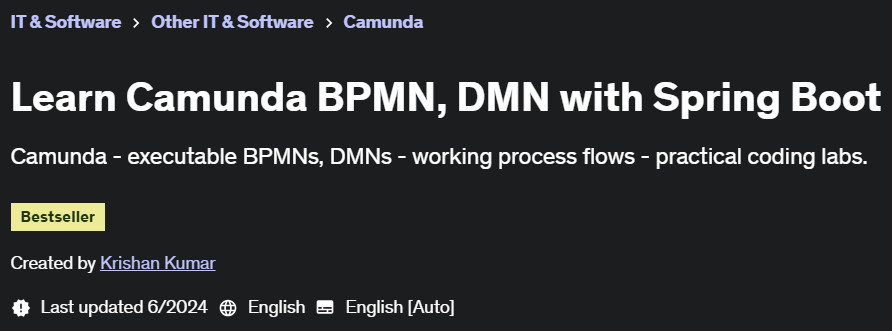 Pictures · Learn Camunda BPMN, DMN with Spring Boot 2024-5