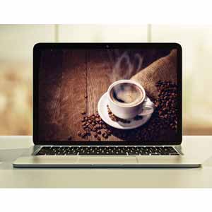 Java Programming Introduction for Beginners 2026-7