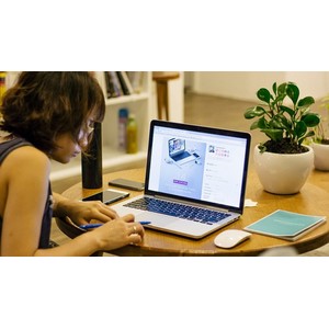Professional WordPress Web Development with Elementor 2022-4