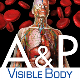 Visible Body Anatomy and Physiology 1.5.04