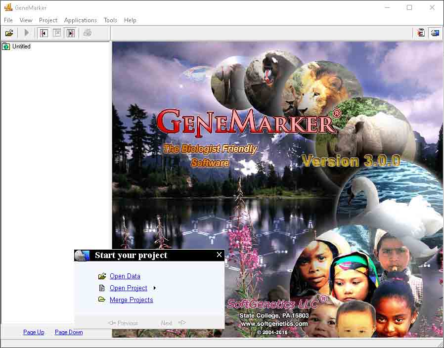 Pictures · SoftGenetics GeneMarker 3.0.0