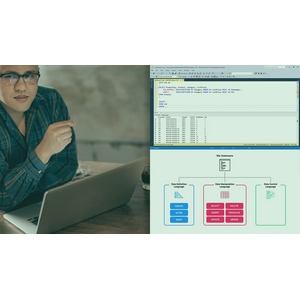 Querying Data with SQL Server 2023-6