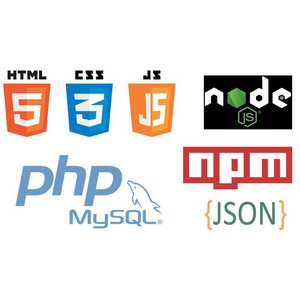 Udemy — Best Bundle Of HTML,CSS, JAVASCRIPT, NODE JS, NPM, JSON, SQL 2023-12