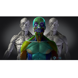 Udemy — Mastering Human Anatomy For 3D Artists 2024-5
