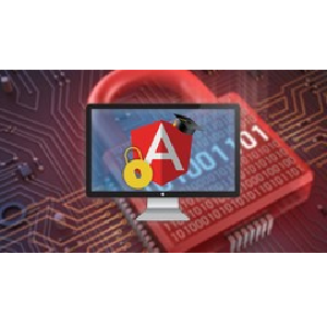 Angular Security Masterclass (with FREE E-Book) 2025-9