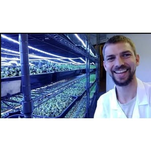 Udemy — Growing Microgreens for Business and Pleasure 2024-11