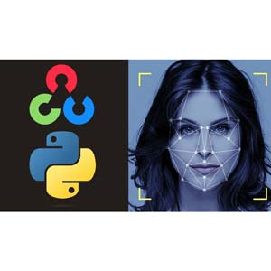 Udemy — Face, Age, Gender, Emotion Recognition Using Facenet Model 2025-1