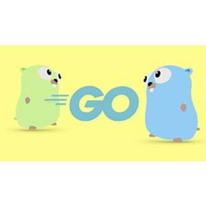 Go Bootcamp: Master Golang with 1000+ Exercises and Projects 2021-5