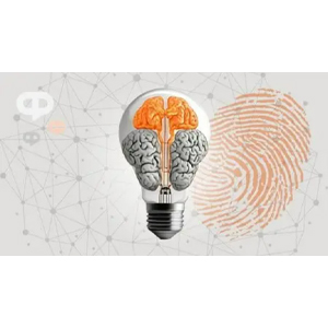 Udemy — CBT Practitioner Training (Cognitive and Behaviour Therapy) 2024-11