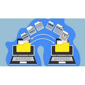 Udemy — Mastering SAP Data Migration Techniques For SAP Consultants 2024-10