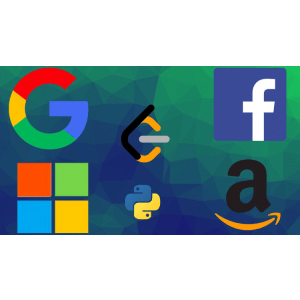 Udemy — 50 days of LeetCode in python: Algorithms coding interview 2024-12/2025-4