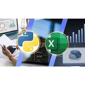 Advanced Python Automation for Excel and Accounting 2025-5