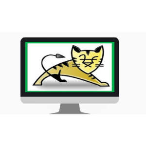 Udemy — Apache Tomcat Server from Beginners to Advanced 2025-2