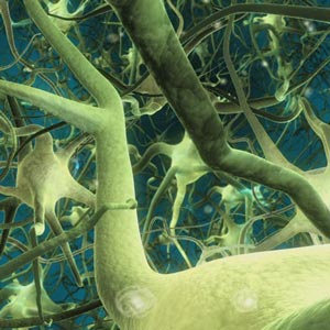 Deep Learning: Recurrent Neural Networks in Python 2025-11