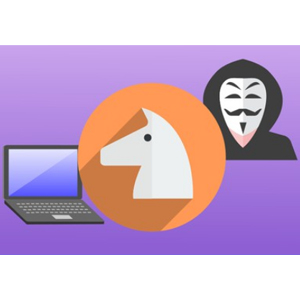 Удаленный доступный инструмент 2 (RAT2) : Desktop Capture и Keyloggers 2024-12