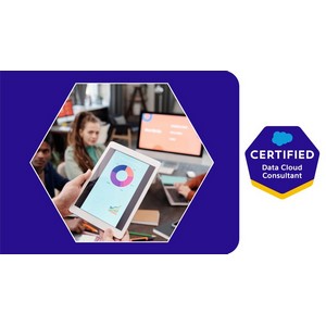 Udemy — Salesforce Data Cloud: The Complete Masterclass 2024-6