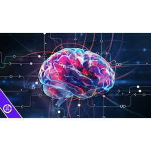 Udemy — 40 Real World Data Science, Machine Learning Projects 2025 2025-6