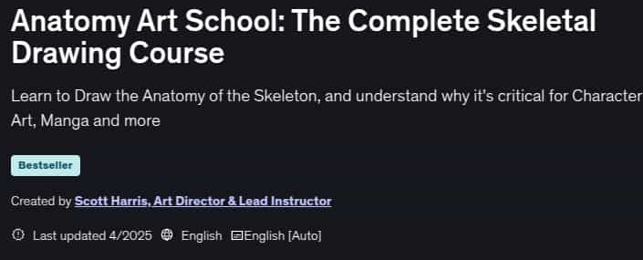 Pictures · Anatomy Art School: The Complete Skeletal Drawing Course 2025-4