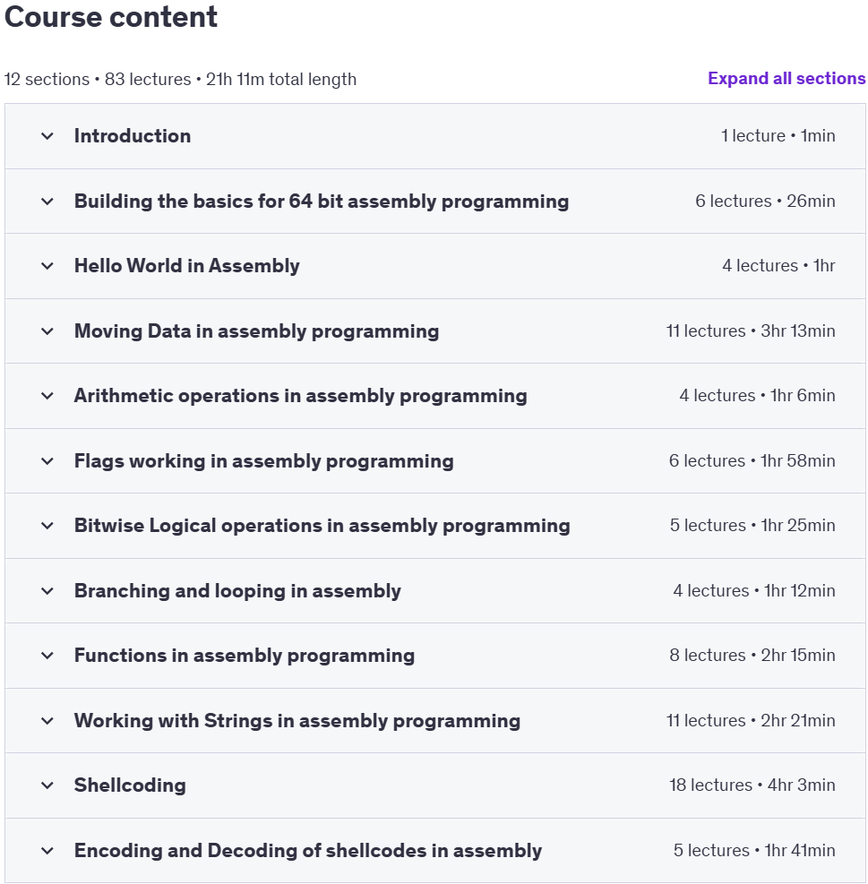 Course topics · Udemy — 64-Bit Assembly & Shellcoding for Ethical Hackers 2025-1