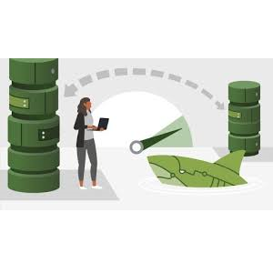 Wireshark Essential Training 2022-1