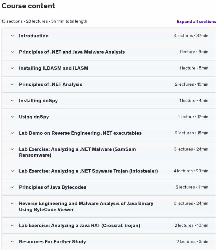 Course topics · Udemy — Reverse Engineering & Malware Analysis of .NET & Java 2024-12