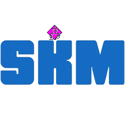 SKM Power*Tools 10.0
