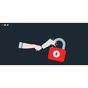 Ethical Hacking / Penetesting & Bug Bounty Hunting 2025 2025-5