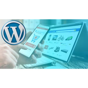 Udemy — Advanced WordPress Course for Professionals 2023-5