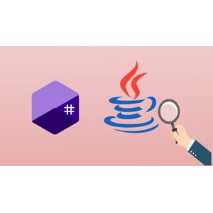 Udemy — Reverse Engineering & Malware Analysis of .NET & Java 2024-12