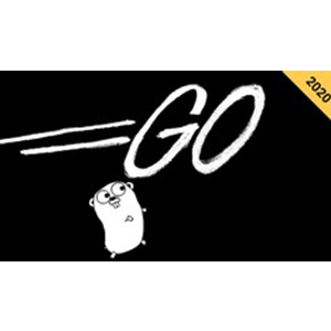 Udemy — Go (Golang) Programming: The Complete Go Bootcamp 2023 2023-3