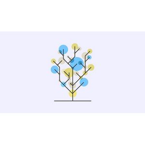 Tree Data Structure and Algorithms 2024-7
