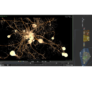 Udemy — Power of procedural in Houdini FX 2024-5
