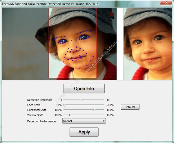 Pictures · Luxand FaceSDK 8.0.0