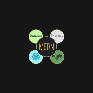 React, NodeJS, Express & MongoDB – The MERN Fullstack Guide 2025-4