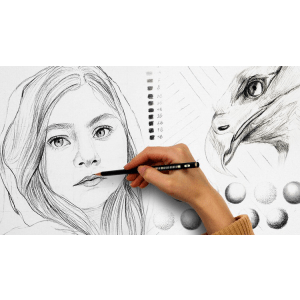 Fundamentals of Drawing: Pencil Measurement to Sketching 2023-4