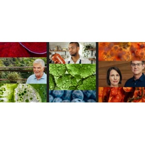 MasterClass — Gut Health 2024-1