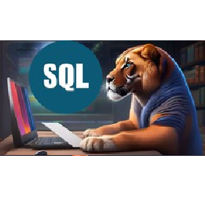 Udemy — 2023 Complete SQL Bootcamp from Zero to Hero in SQL 2023-8