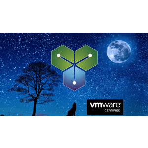 Udemy — Clear and Simple VCTA VMware Technical Associate – vSphere 8 2024-12