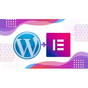 Udemy — WordPress & Elementor 2025 Creative Website Design Bootcamp 2023-8