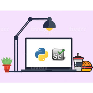 셀레늄 웹 드라이버 PYTHON 스크래치 + 프레임 워크 2026-1