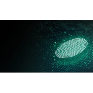 INE — Web Application Penetration Testing: Web Fingerprinting and Enumeration 2022-12