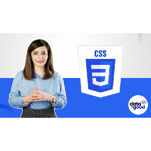 Udemy — 3-Udemy – Master CSS Bootcamp 2022 with Animations, Transitions, Flex 2022