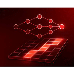 Master Dynamic Programming Using Python 2026-8