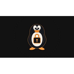 Linux Security Hardening & Auditing: Practical Course 2026-8