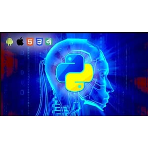 Python Developer | Complete course 2024-12