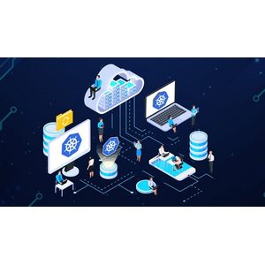 Kubernetes pratiques – Au-delà de CKA et de CKAD 2025-8