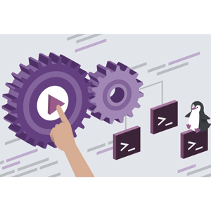 Linux Bash Shells and Scripts: Streamlining Task and Improving Workflows with Automation (بش شیلز اور سکرپٹ: آٹومیشن کے ساتھ کام کے بہاؤ کو بہتر بنانے کے کام) 2025-5
