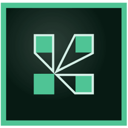 Adobe Connect Enterprise 10.8.0 + Client